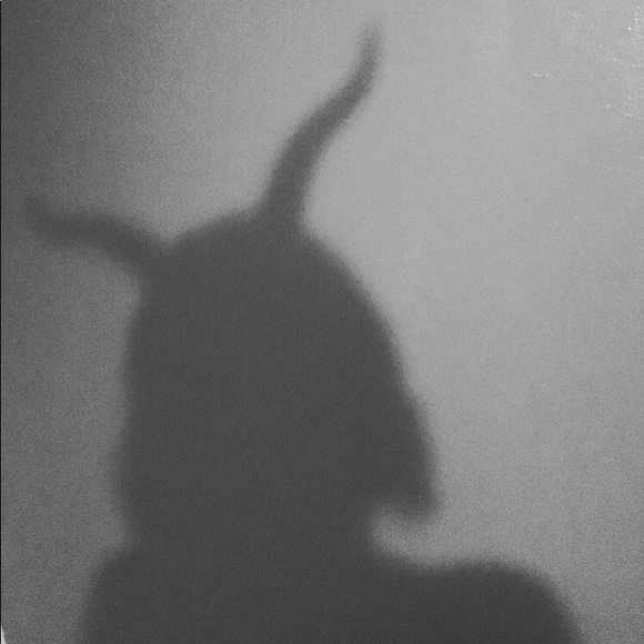 Meet your Posher, Giselle - Picture 1 of 1